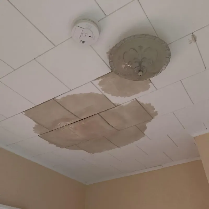 Ceiling Water Damage Repair in Flower Mound, TX