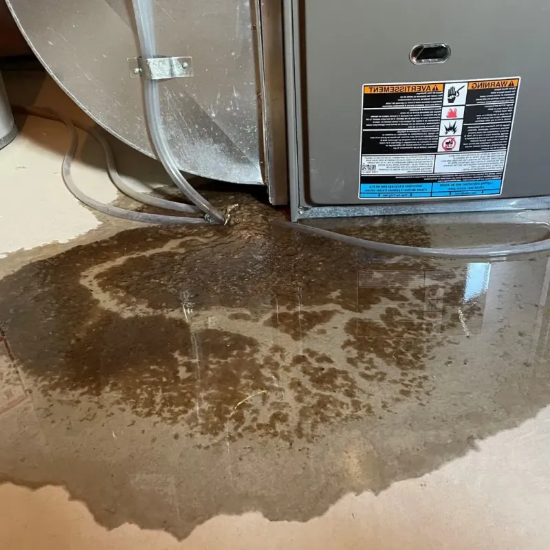 Pipe Burst and Leak Restoration in Flower Mound, TX